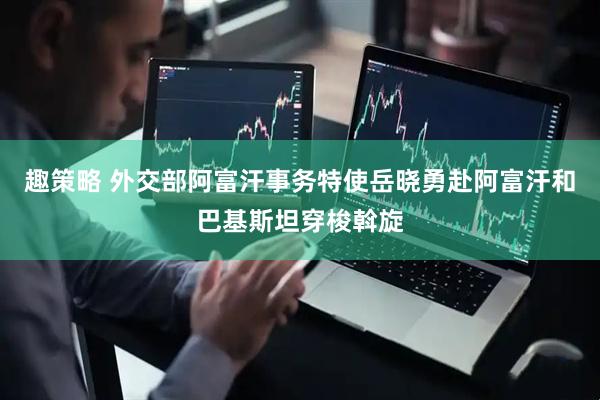 趣策略 外交部阿富汗事务特使岳晓勇赴阿富汗和巴基斯坦穿梭斡旋