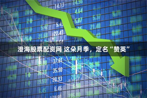澄海股票配资网 这朵月季，定名“赞英”