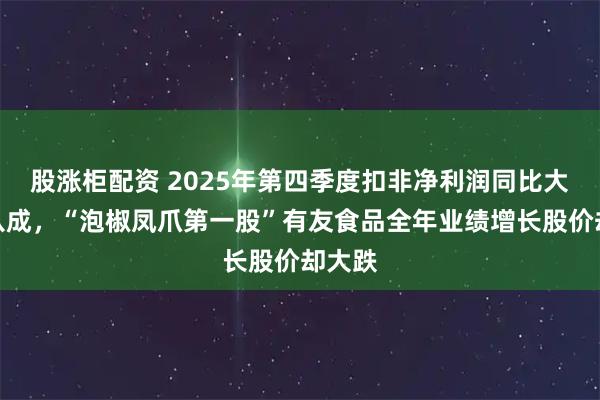 股涨柜配资 2025年第四季度扣非净利润同比大跌超八成，“泡椒凤爪第一股”有友食品全年业绩增长股价却大跌