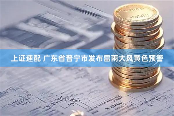 上证速配 广东省普宁市发布雷雨大风黄色预警