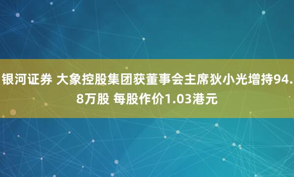 银河证券 大象控股集团获董事会主席狄小光增持94.8万股 每股作价1.03港元