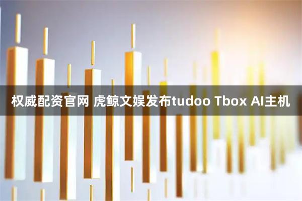 权威配资官网 虎鲸文娱发布tudoo Tbox AI主机