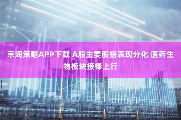 京海策略APP下载 A股主要股指表现分化 医药生物板块接棒上行